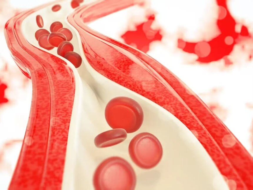 1750839826417392.jpg 51616d268c3a00138070e02d0d361e8.jpg