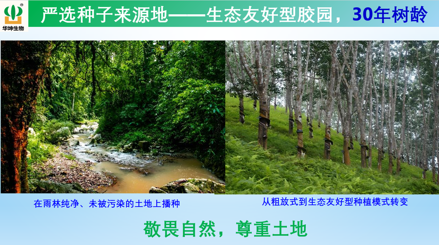 1754036398420664.png 图片深林.png