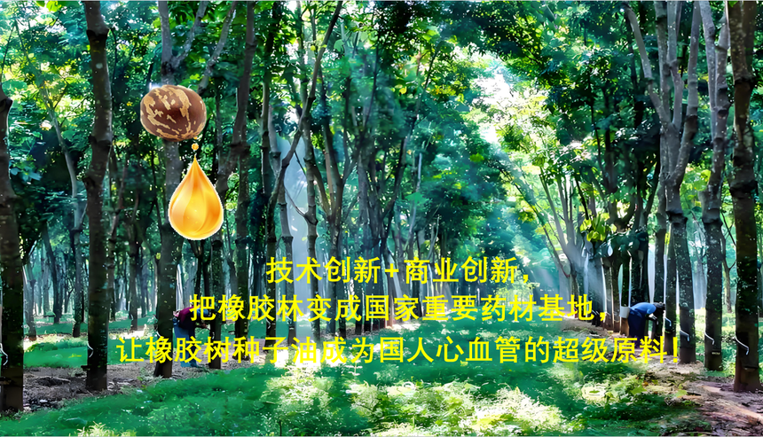 1754036834925221.png 图片油森林.png