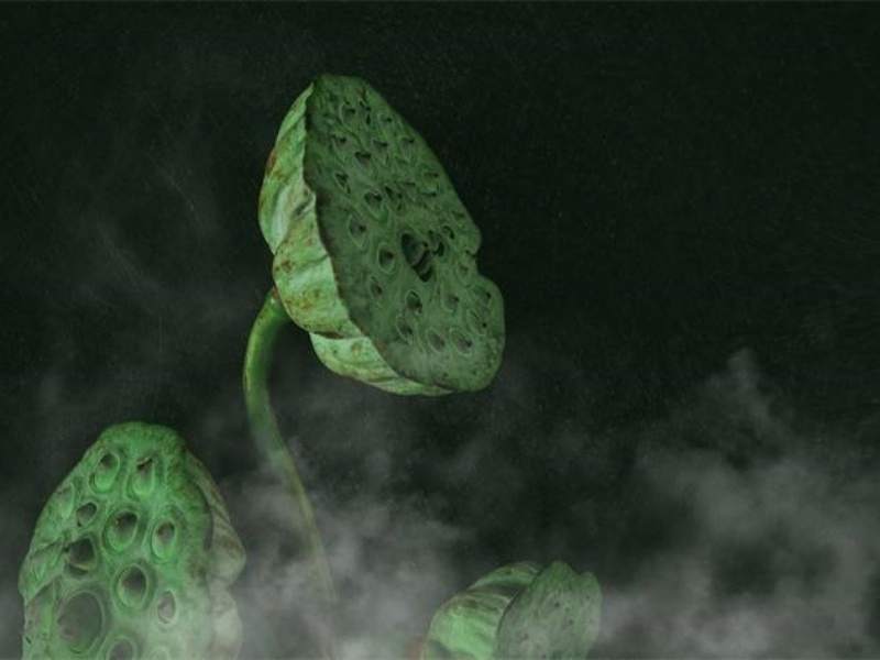 ������� (33).jpg