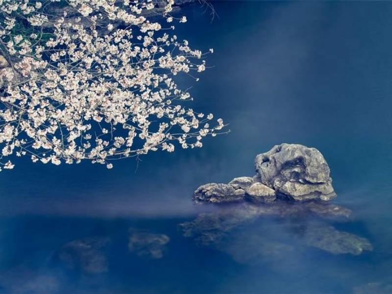 ������� (1).jpg