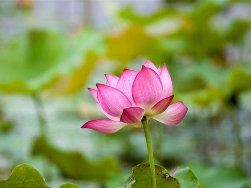 ������� (16).jpg