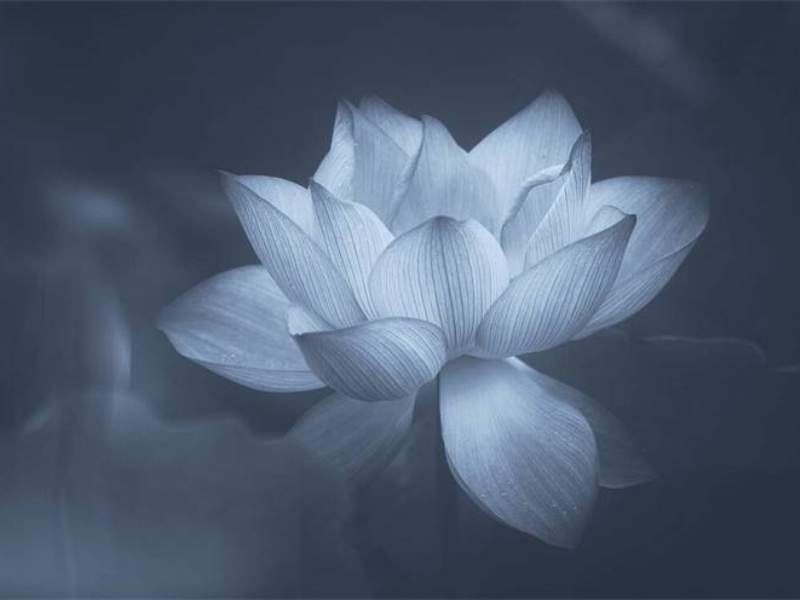 ������� (3).jpg