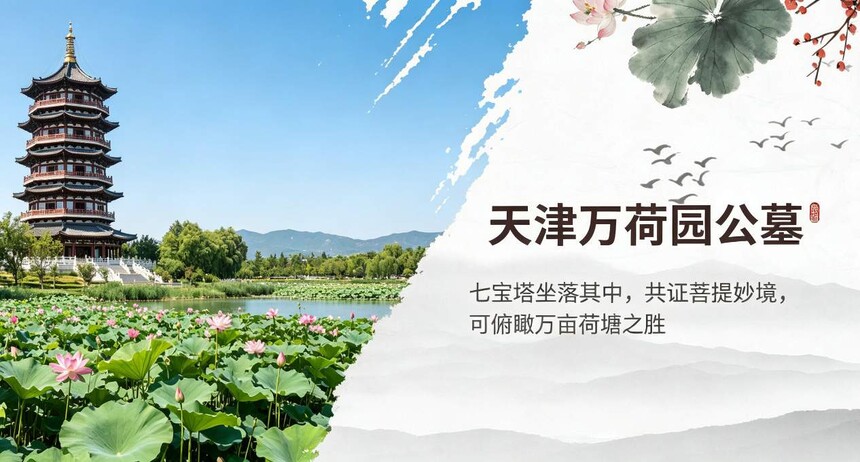 1790421268239645.jpg 手机-轮播图3.jpg
