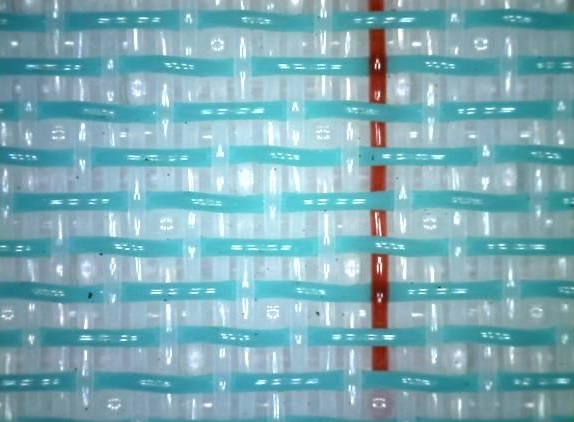 1741759669280362.jpg