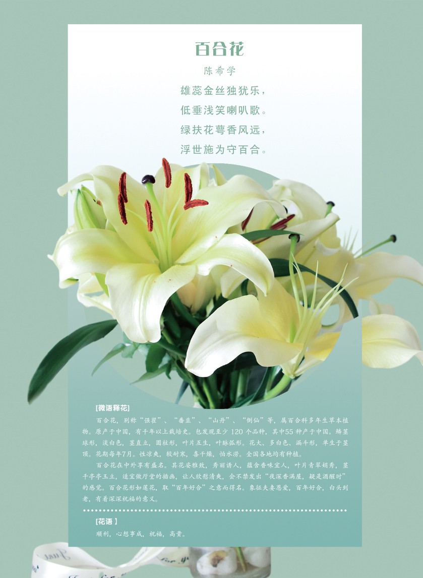 2024갮˶ķ24-12-30-1.jpg