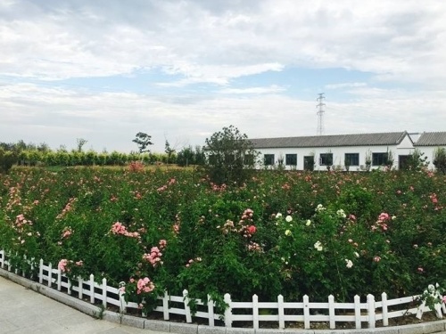 易县万福陵园 清西陵万福陵园