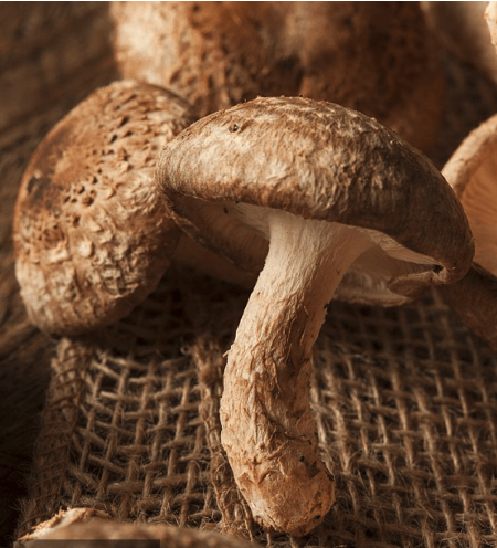 1758175715867967.png Screenshot 2025-09-16 at 9.56.51 AM.png