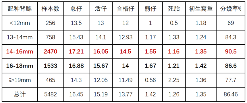 1752232071125738.png 1111.png