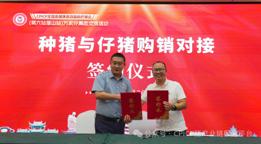 1756447850885464.png 011111.png