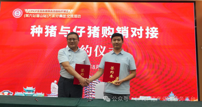 1756447876289285.png 02222.png