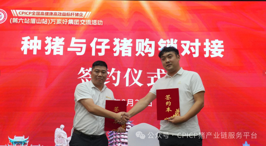 1756447913158283.png 0333.png