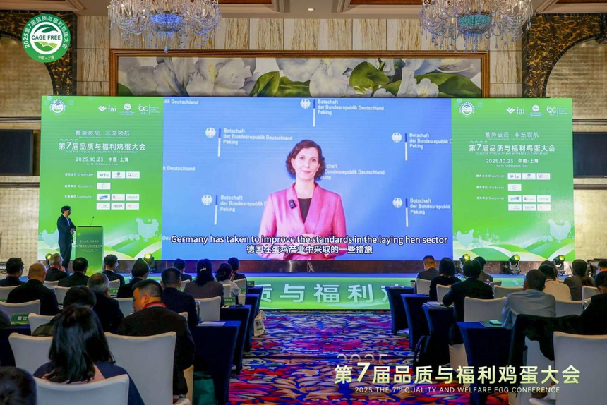 1761288347842248.png 图片6.png