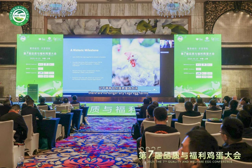 1761288658552724.png 图片16.png