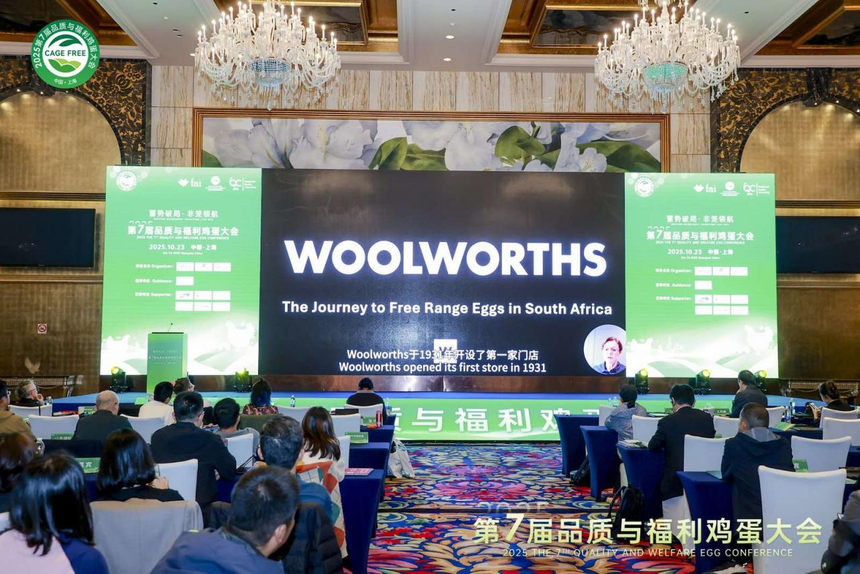 1761289009341083.png 图片29.png