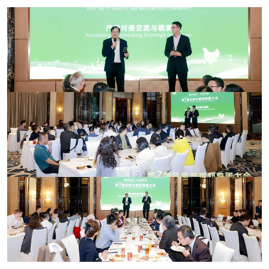 1761289233797240.png 图片38.png