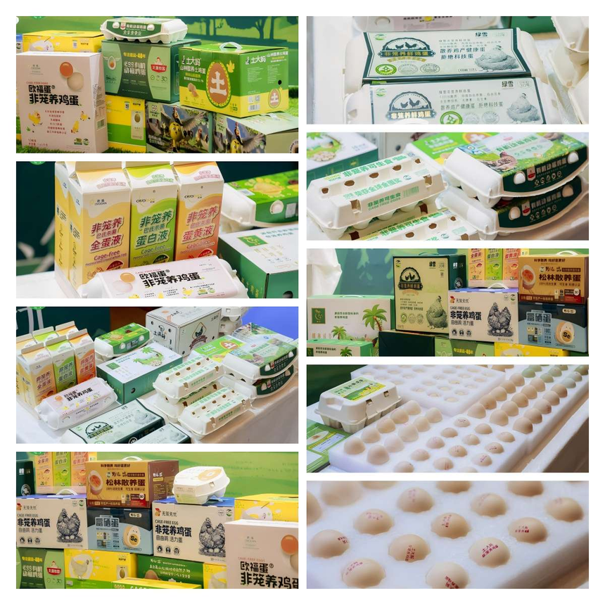 1761289262477704.png 图片39.png