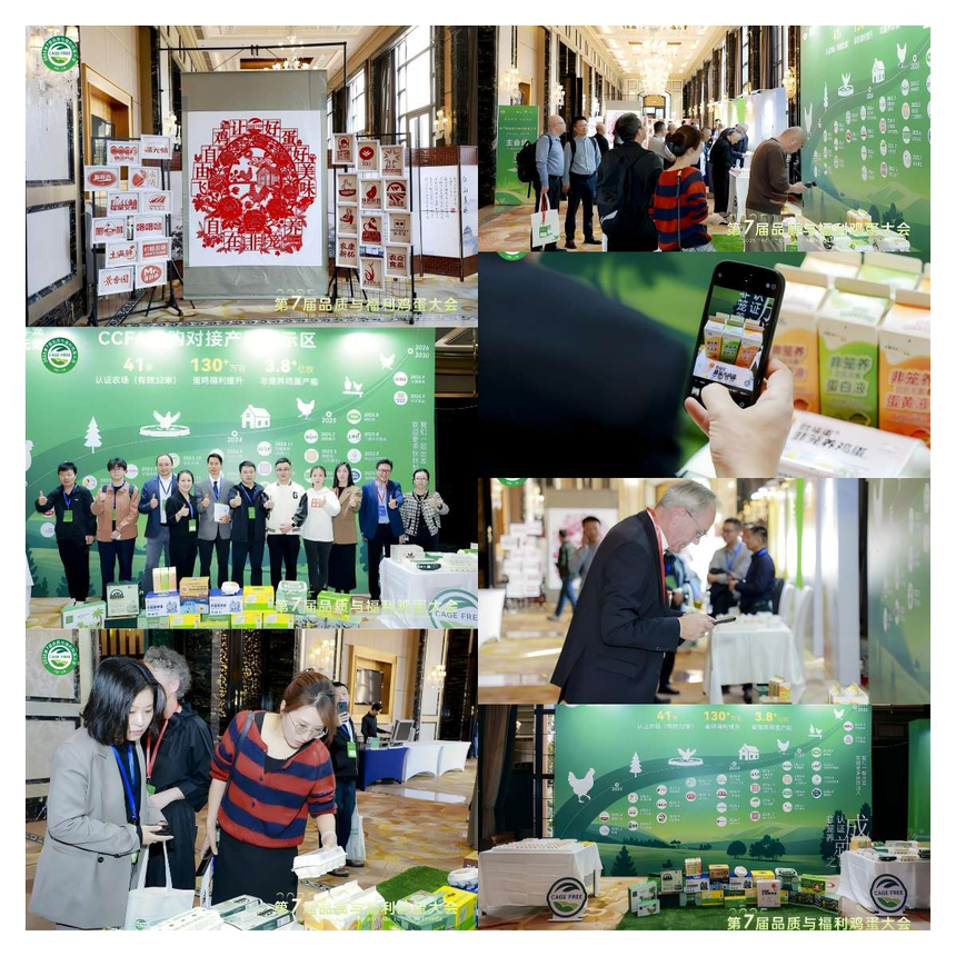 1761289282837602.png 图片40.png