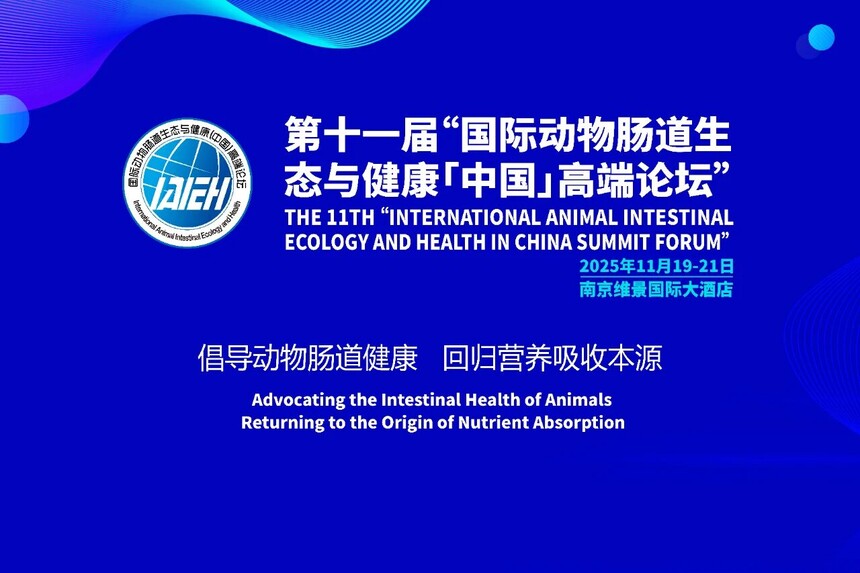 1761879617701115.jpg 11.jpg