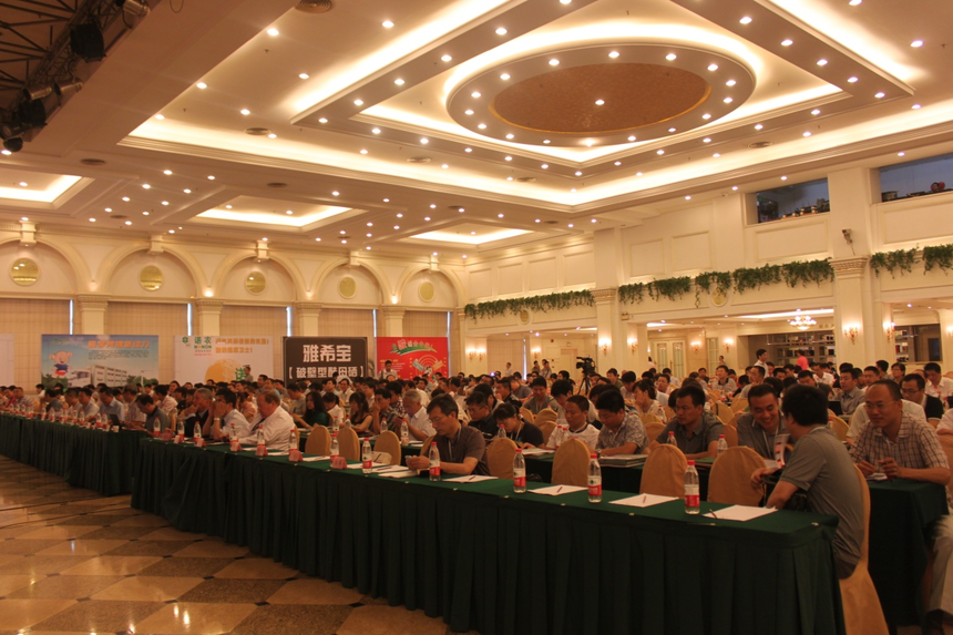 1765179572824674.png 1765179572824674.png