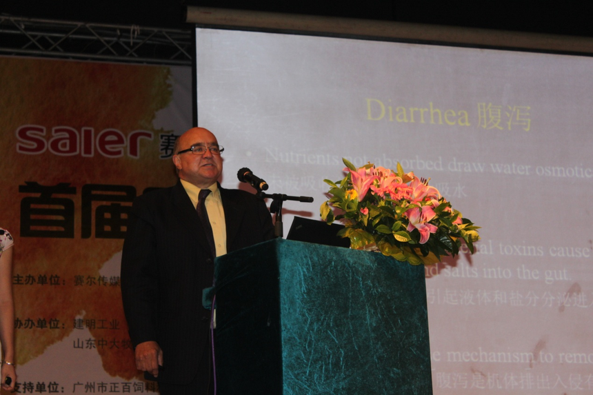 1765179804839846.png 1765179804839846.png