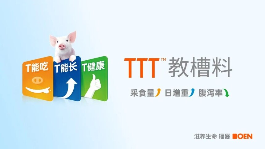 1775028980336531.jpg 1775028980336531.jpg