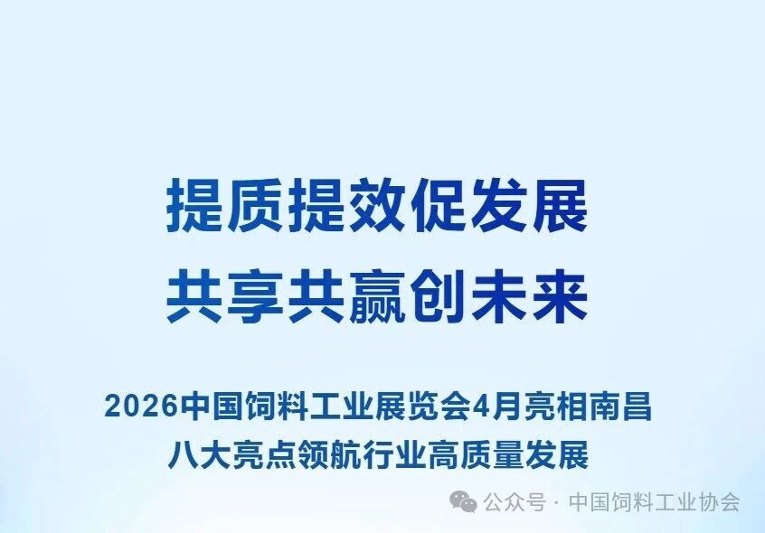 1775040959313628.jpg 1.jpg