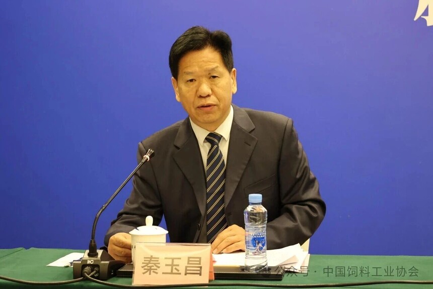 1775042572739730.jpg 5.jpg