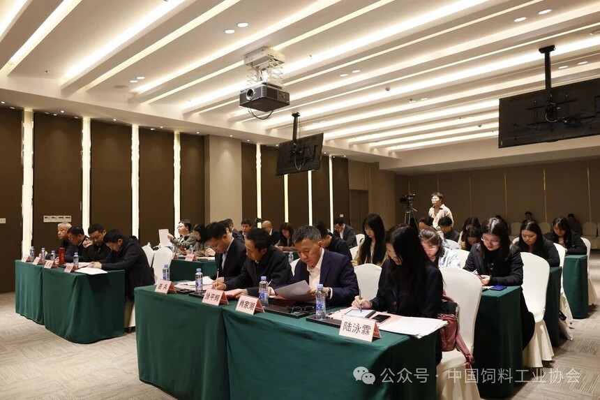 1775042692435542.jpg 8.jpg