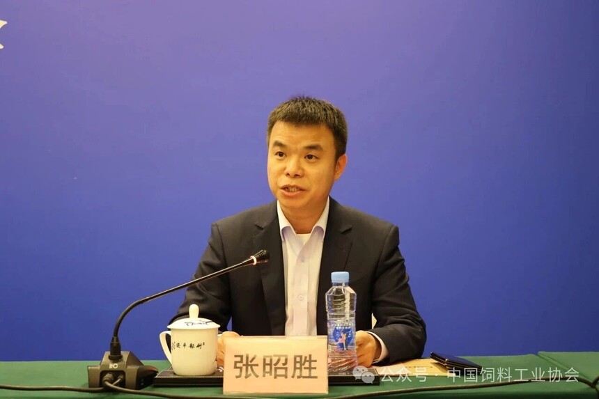 1775042810692770.jpg 11.jpg