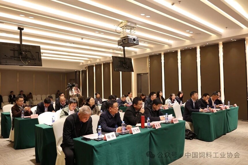 1775042842838737.jpg 12.jpg