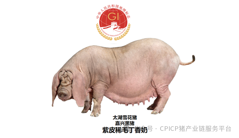 640 (2).png