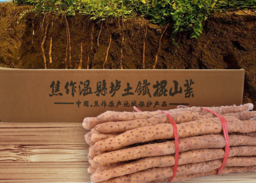 怀山药 怀山药