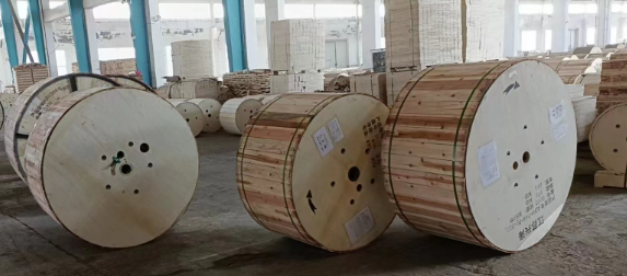 1774575841361903.jpg 27.jpg