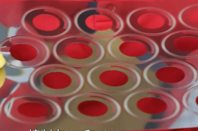 1743412241258183.png