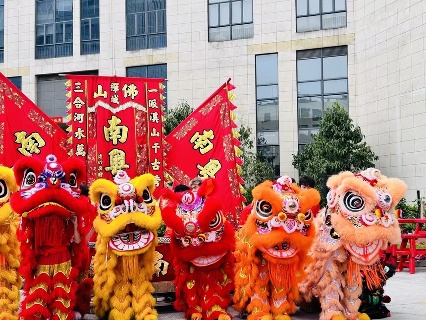 1772066332622865.jpg 02db6682-c7d0-47f5-8f36-0b6adadc0b27.jpg