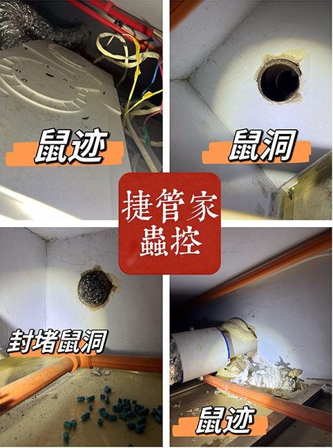 ���ݜ�����