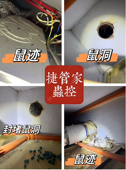 ���ݜ�����