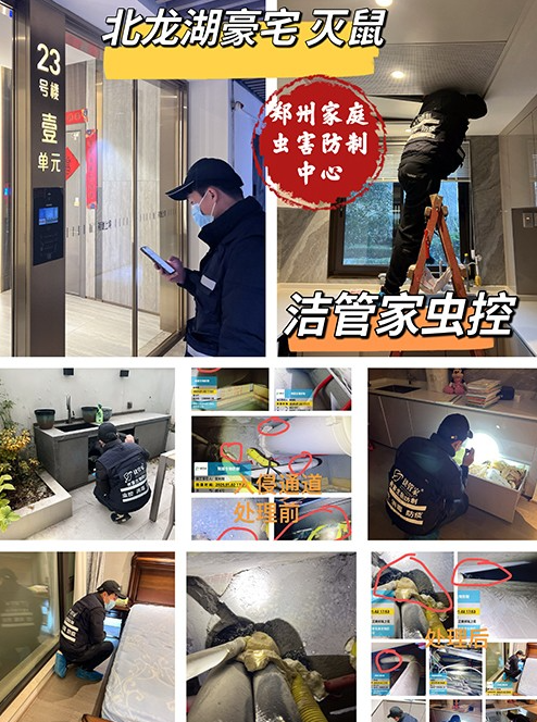 ���ݜ�����