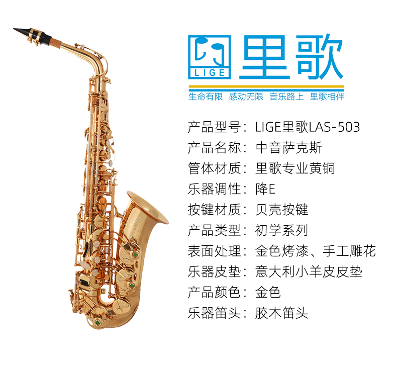 ���������503.png