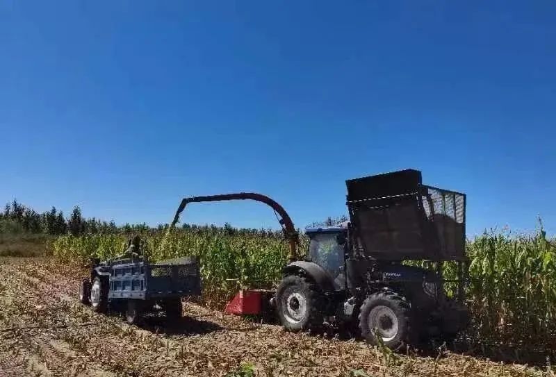 1745893715122980.jpg 1-24042Q61Q2G3.jpg