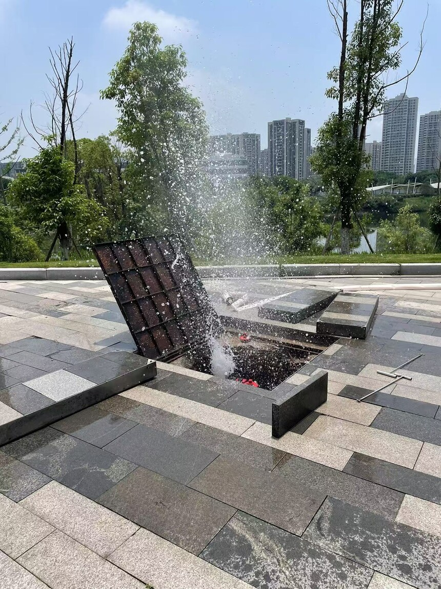 1745394240697608.jpg