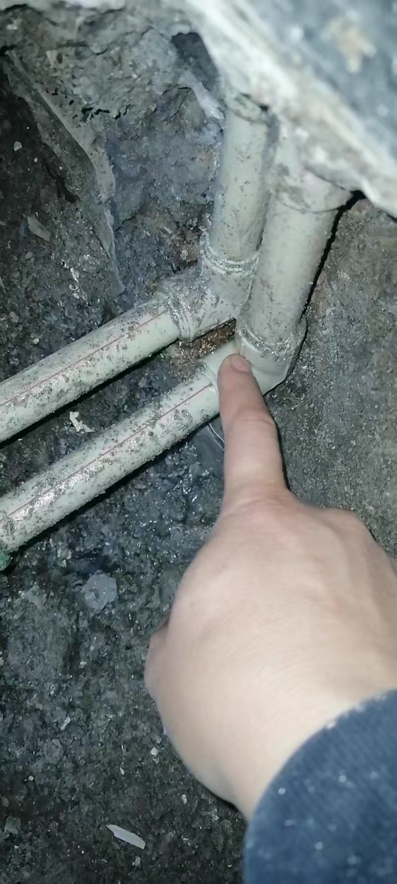 1745399339709991.jpg