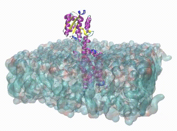 1745826905613335.png image.png