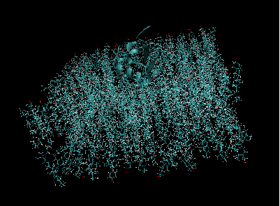 1745913281464457.png image.png