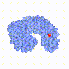 ����1 (1).gif