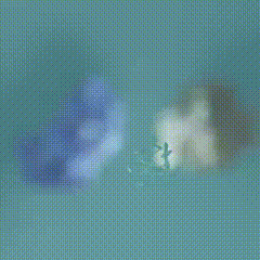 ����1 (3).gif