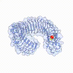 ����1 (2).gif