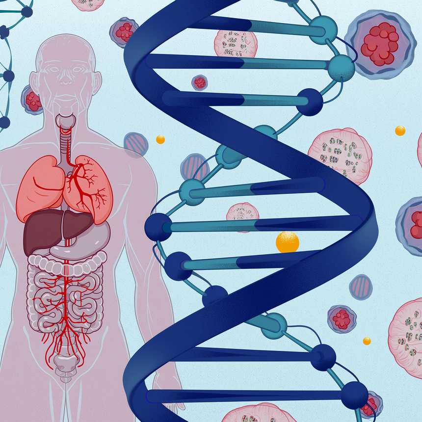 AAAAAAAAAAAAAAAAAAAAANQgQTBo29L0_67dZ_DAqTvGbuIyrwnFFutlr1JZ0EP50fk (1).png