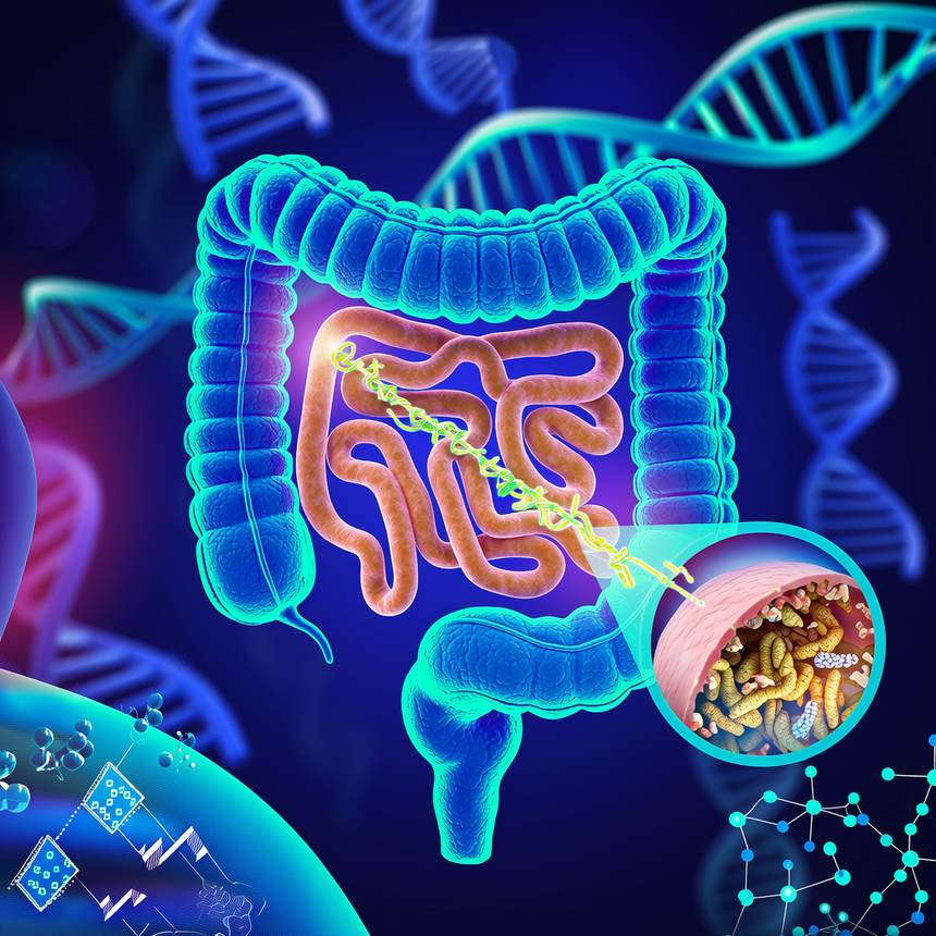 1750740899980214.png AAAAAAAAAAAAAAAAAAAAANtwEG4339Wgq6mONvCSrTzHabdurAyRFu8xo1ZdgkCg0fo.png